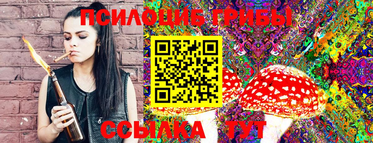 Галлюциногенные грибы Magic Shrooms Гурьевск