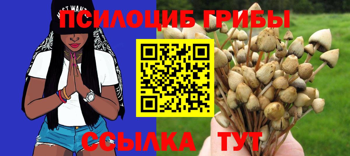 Псилоцибиновые грибы ЛСД  Псилоцибиновые грибы ЛСД  Гурьевск  цена   Вход с VPN 